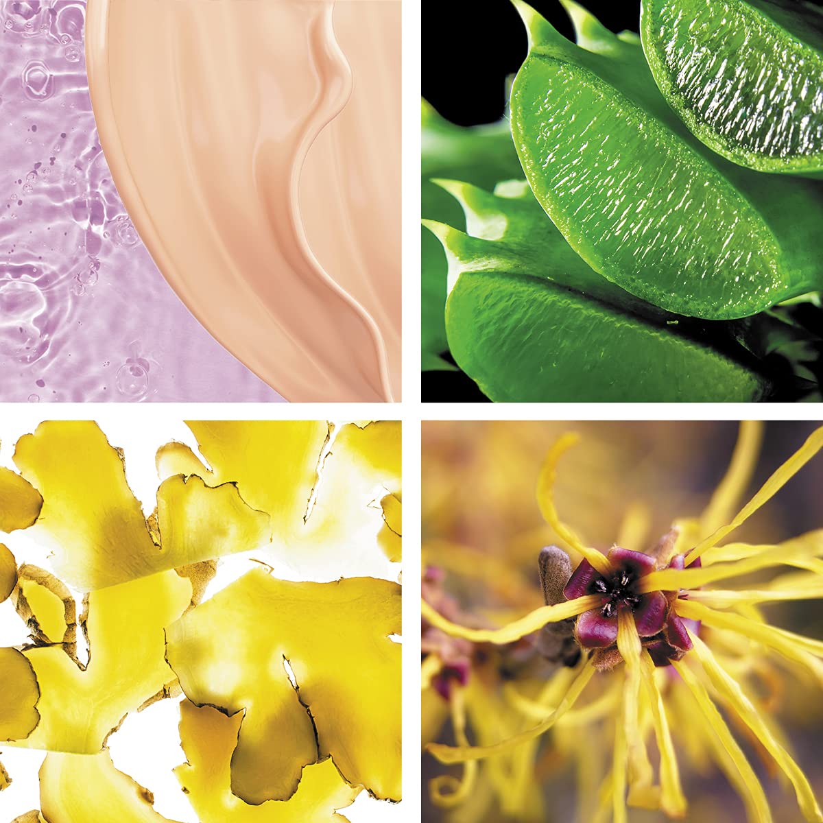 L'Oral Paris Skin Paradise getntes Feuchtigkeitsfluid Medium 04, 1 Stck