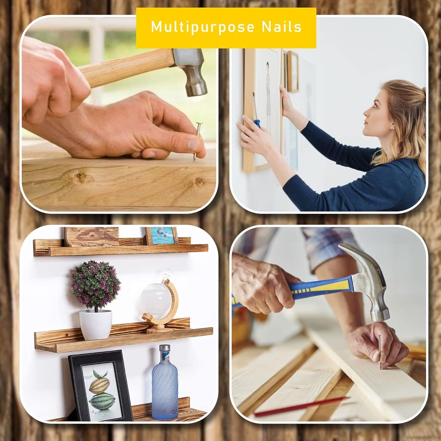 260-Piece Steel Nail Set with Organizer Box – Heavy-Duty Assorted Panel Pins for Picture Hanging, Wood, Wall & DIY Repairs – by Elite Majestic Tools