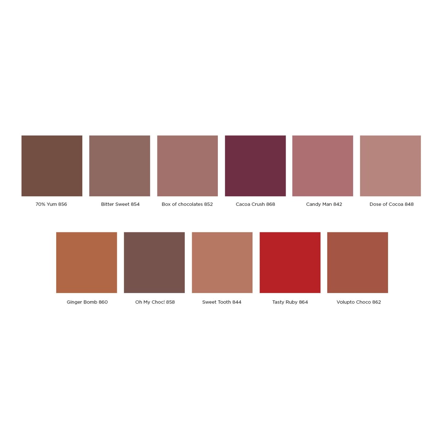 L'Oreal Paris Les Chocolats Ultra Matte Liquid Lipstick 858 Oh my Choc